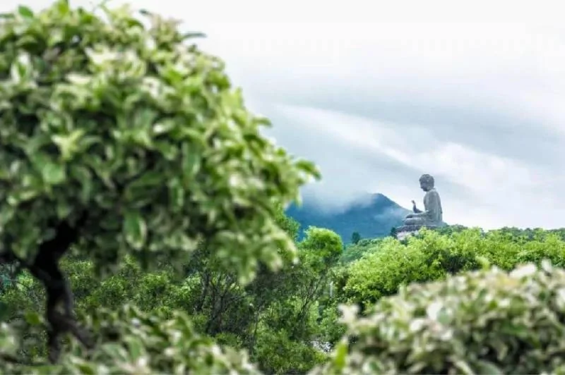 一个人 做到这4点 就是有福之人!