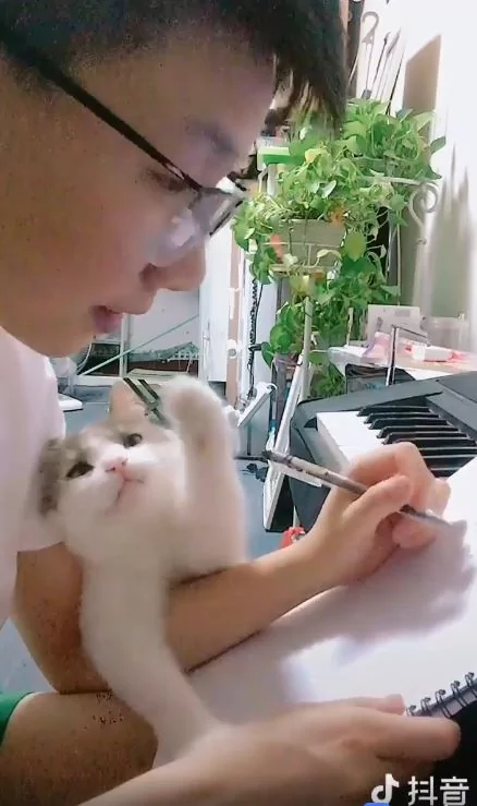 看人家一下嘛!奴才太忙”黏人喵巴手臂不放“!狂蹭头好委屈:朕竟然输了!