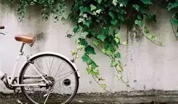 智者嘴在心里 愚者心在嘴里!