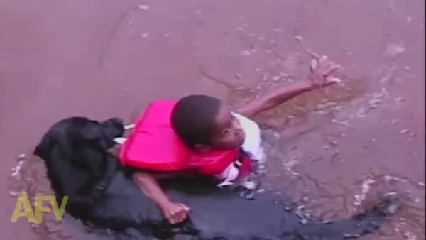 黑汪发现“小孩溺水”马上救援 小孩被拖一脸绝望:我是在玩水呀!