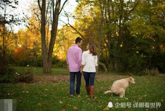新人在动物园举行婚礼 背景熊的表情一言难尽