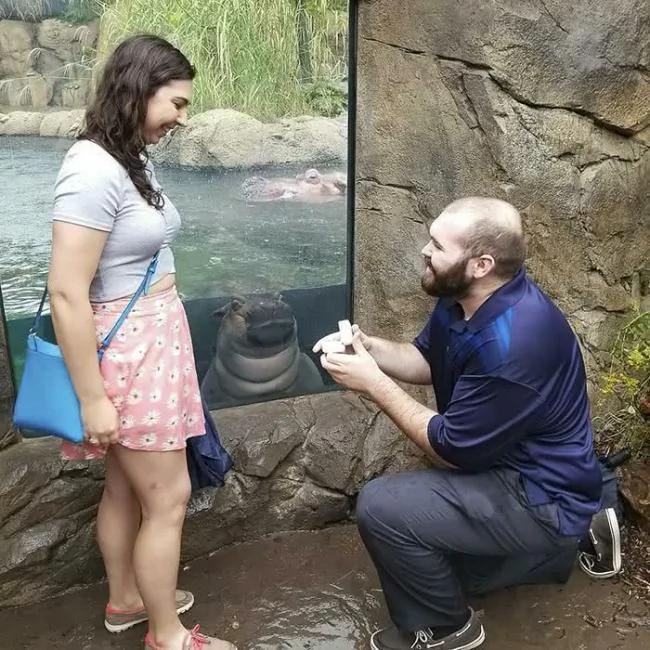 新人動物園辦婚禮 熊的表情一言難盡