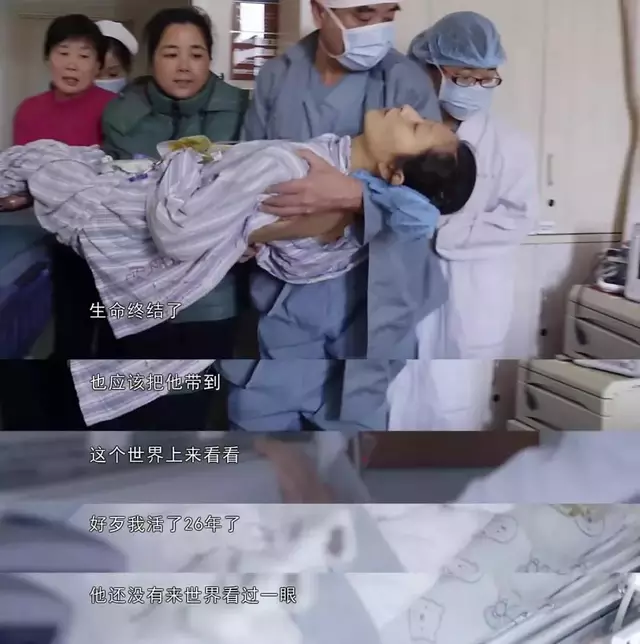 带着自己夭折的孩子 17天游1600多公里 尸体腐烂仍不舍离开 看哭了…