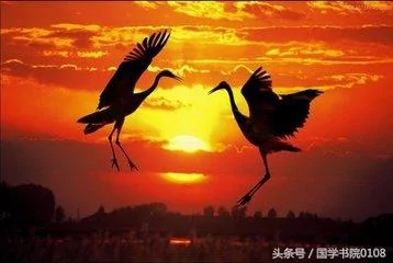 十个故事、十个点拨、十个感悟!足够改变你一生!