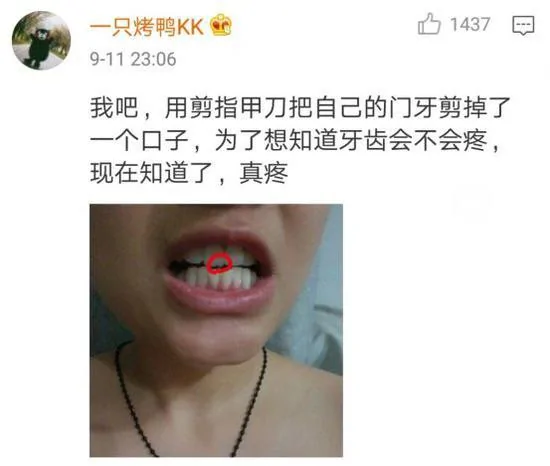 上万网友争着晒奇葩室友 网友评论让人笑劈叉