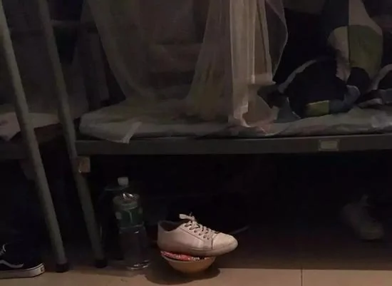 上万网友争着晒奇葩室友 网友评论让人笑劈叉