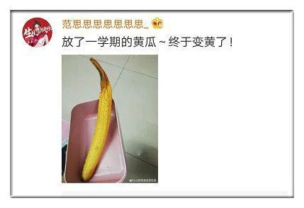 上万网友争着晒奇葩室友 网友评论让人笑劈叉