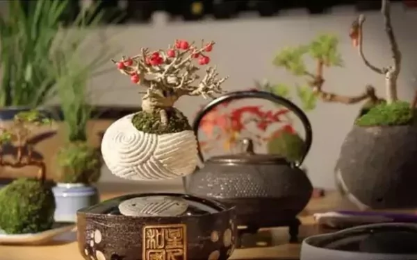 连盆栽都能上天 人类已经无法阻止日本设计师的黑科技了!