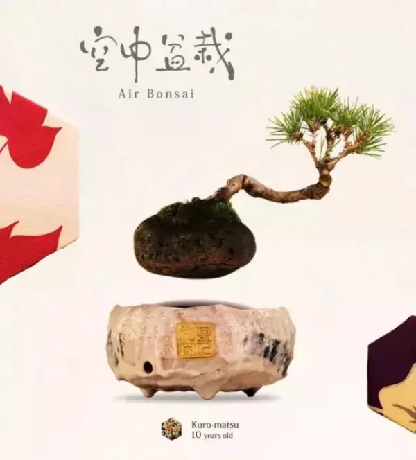 连盆栽都能上天 人类已经无法阻止日本设计师的黑科技了!