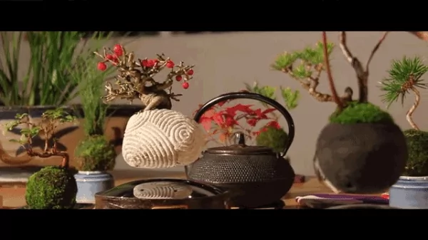 连盆栽都能上天 人类已经无法阻止日本设计师的黑科技了!
