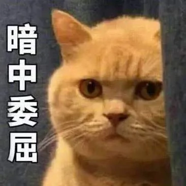 狗狗消失5天后终于回家 看到它叼着的东西 主人忍不住湿了眼眶