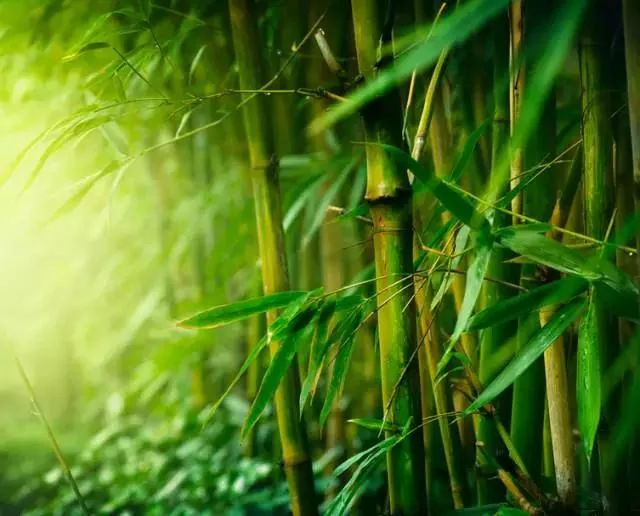 做人做事 败于十忌 成于十悟!