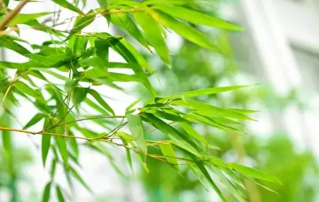 做人做事 败于十忌 成于十悟!