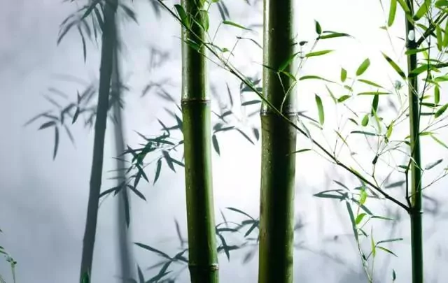 做人做事 败于十忌 成于十悟!