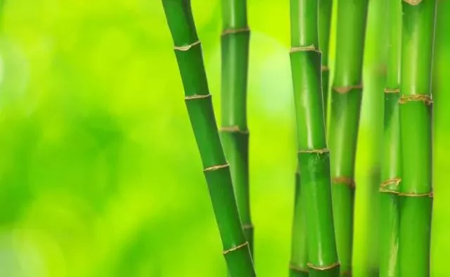 做人做事 败于十忌 成于十悟!