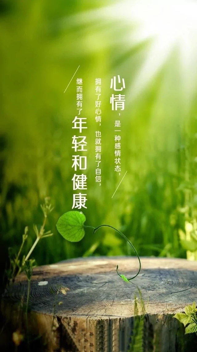 跌倒了 爬起来 从头再来!(深度好文)