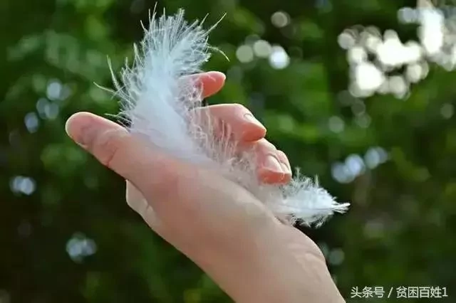 做人:闭嘴 闭嘴 闭嘴!看完 一生有益!