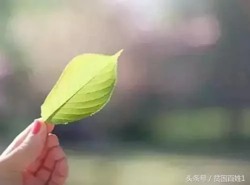做人:闭嘴 闭嘴 闭嘴!看完 一生有益!