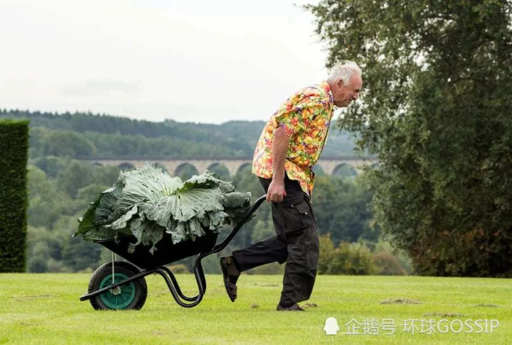巨型蔬菜比赛 蔬菜“大”到超乎想象 人不敢吃!