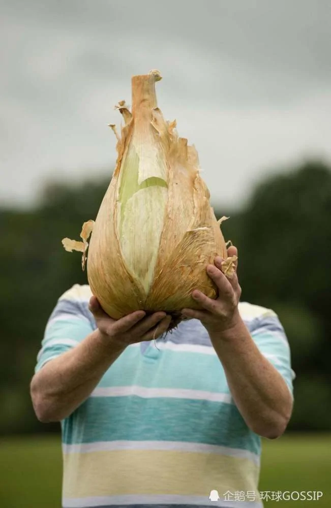 巨型蔬菜比赛 蔬菜“大”到超乎想象 人不敢吃!