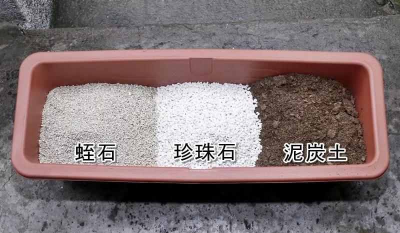 为料理&生活添味!新手必看的种香草秘笈