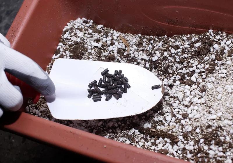 为料理&生活添味!新手必看的种香草秘笈