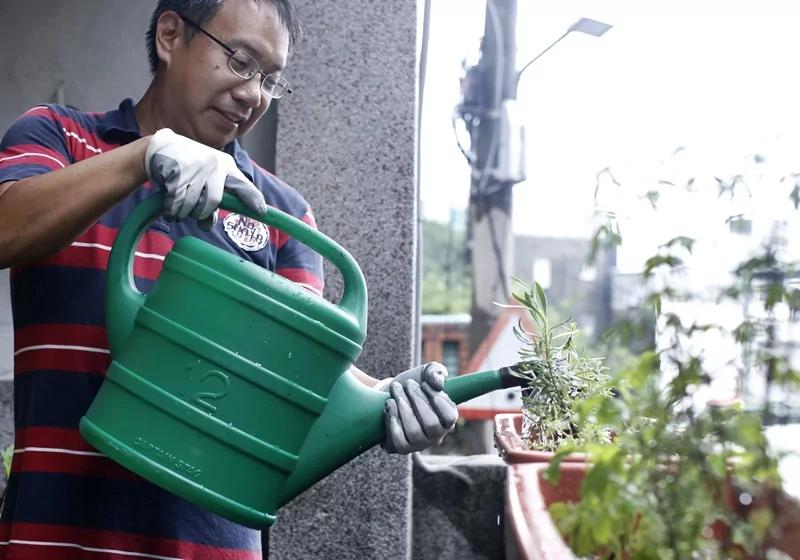 为料理&生活添味!新手必看的种香草秘笈