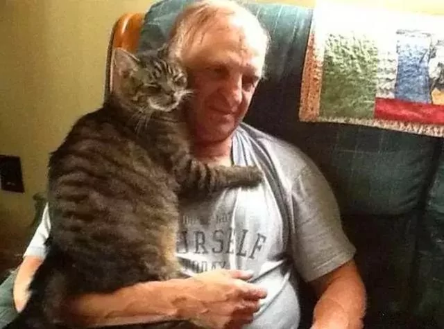 猫咪坚持十年拥抱主人 风雨无阻等待主人回家 猫咪:再抱一下!
