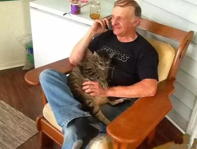 猫咪坚持十年拥抱主人 风雨无阻等待主人回家 猫咪:再抱一下!