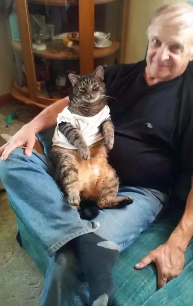 猫咪坚持十年拥抱主人 风雨无阻等待主人回家 猫咪:再抱一下!