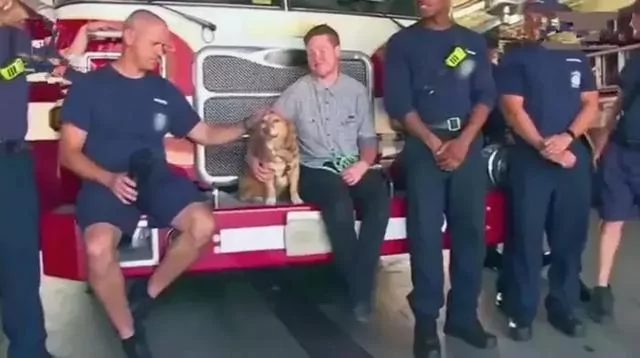 狗狗被困12年 临终前获得了自由 满足所有心愿后安然离世!