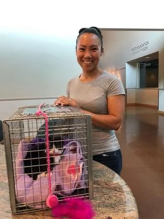 猫咪失去耳朵好自卑 暖心妈“亲手做礼物”帮它戴上:值得被爱的宝贝!