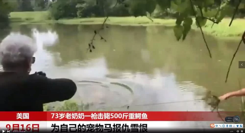 美国老奶奶一枪击毙500斤鳄鱼 为宠物报仇!