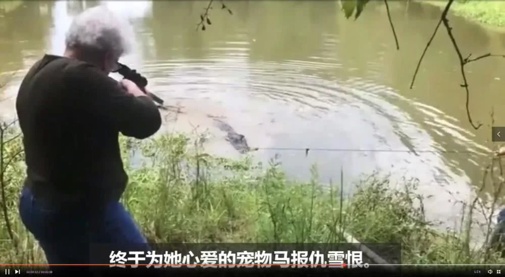 美国老奶奶一枪击毙500斤鳄鱼 为宠物报仇!