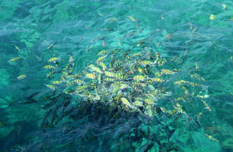 全球门槛最高旅行地出炉一天只接待20人门票靠抽签概率堪比中彩票