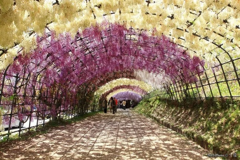 全球门槛最高旅行地出炉一天只接待20人门票靠抽签概率堪比中彩票