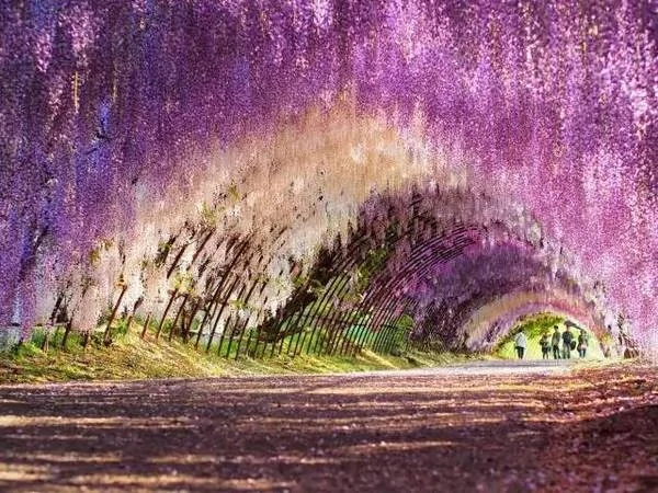 全球门槛最高旅行地出炉一天只接待20人门票靠抽签概率堪比中彩票