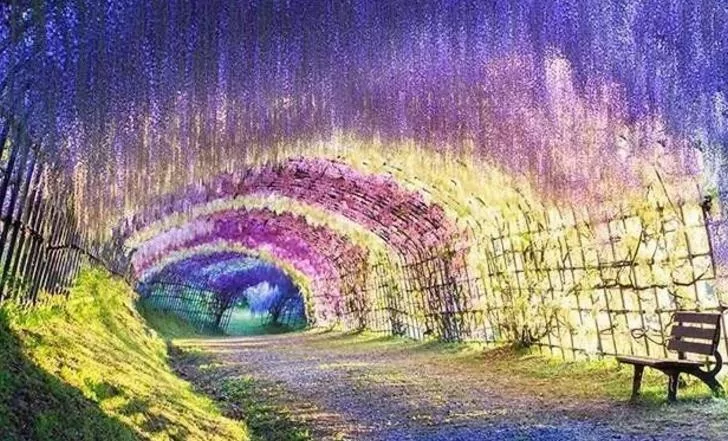 全球门槛最高旅行地出炉一天只接待20人门票靠抽签概率堪比中彩票