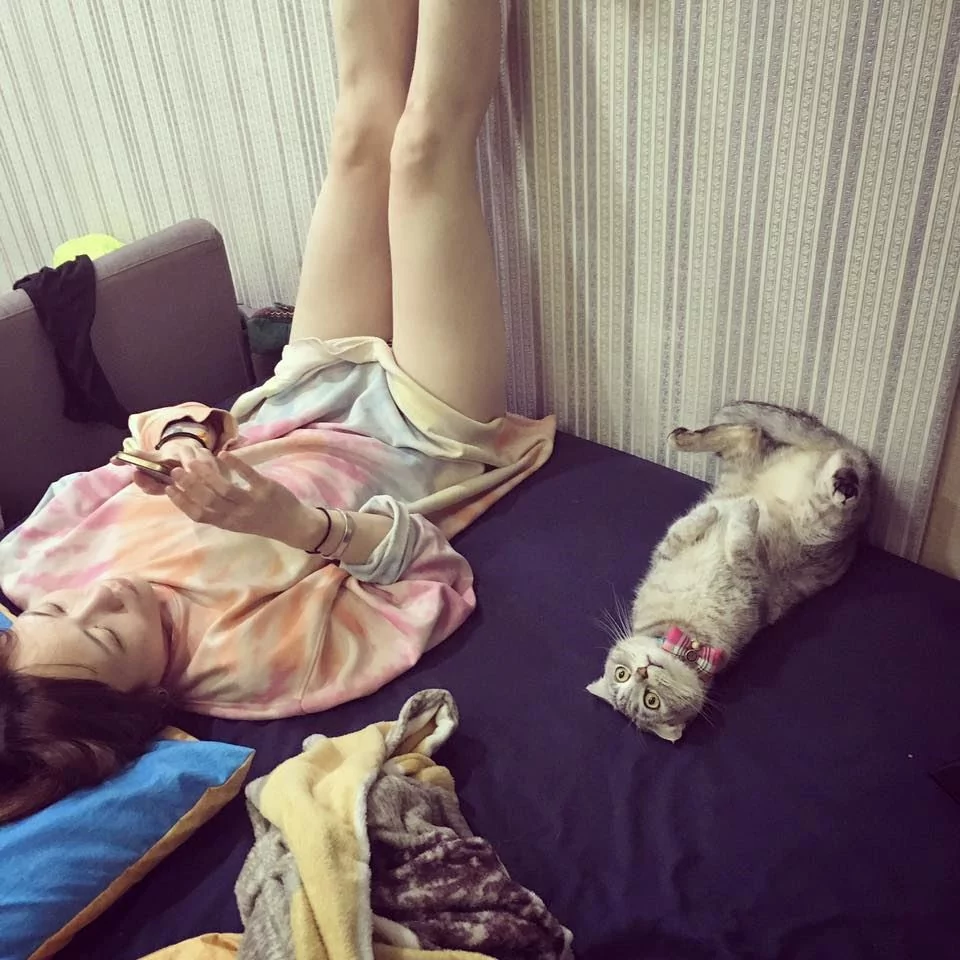 呆萌的喵星人看着主人抬腿纾缓脚酸 它竟有样学样 姿势却让网友笑翻!