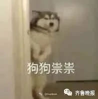 iphone系统升级后 这个功能太魔性!网友:被气到吐血!