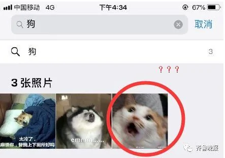 iphone系统升级后 这个功能太魔性!网友:被气到吐血!