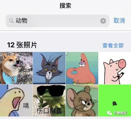 iphone系统升级后 这个功能太魔性!网友:被气到吐血!