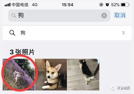 iphone系统升级后 这个功能太魔性!网友:被气到吐血!