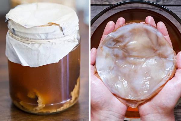 “长生不老药”红茶菌科学证实7大益处
