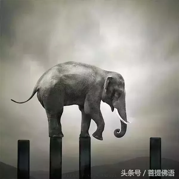 水到绝境是飞瀑 人到绝境是重生!