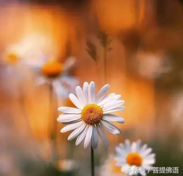 水到绝境是飞瀑 人到绝境是重生!