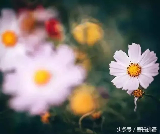 水到绝境是飞瀑 人到绝境是重生!