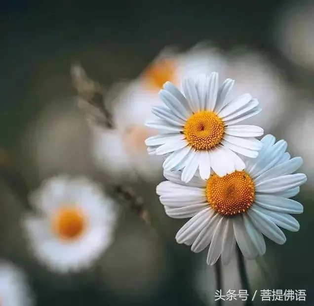 水到绝境是飞瀑 人到绝境是重生!