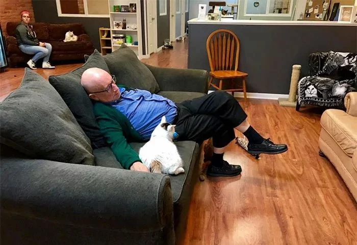 老爷爷抱着猫咪睡觉的这几张照片 把一众网友都萌哭了