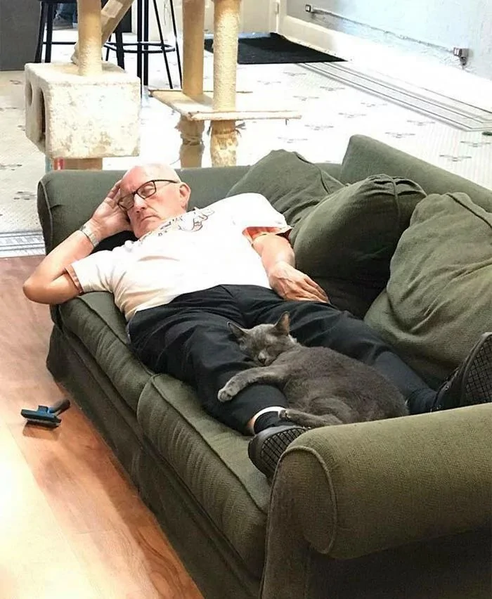 老爷爷抱着猫咪睡觉的这几张照片 把一众网友都萌哭了